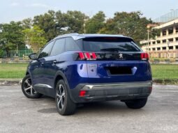 
										PEUGEOT 3008 1.6 (A) full									