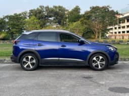 
										PEUGEOT 3008 1.6 (A) full									