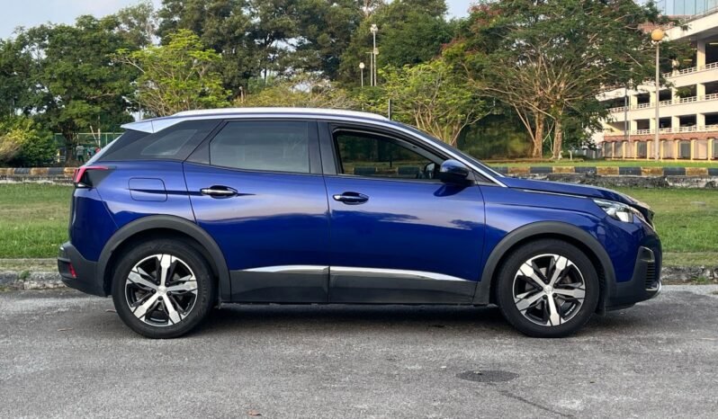 
								PEUGEOT 3008 1.6 (A) full									