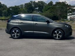 
										PEUGEOT 3008 P84 B full									