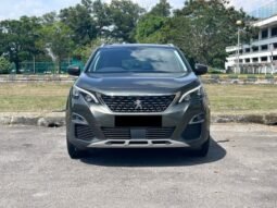 
										PEUGEOT 3008 P84 B full									