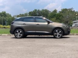 
										PEUGEOT 3008 P84 AE full									