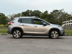
										PEUGEOT 2008 PURETECH 1.2 AT full									