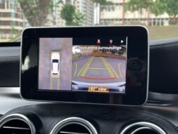 
										MERCEDES BENZ GLC250 4M-X253 (A) full									