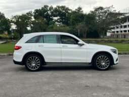 
										MERCEDES BENZ GLC250 4M-X253 (A) full									
