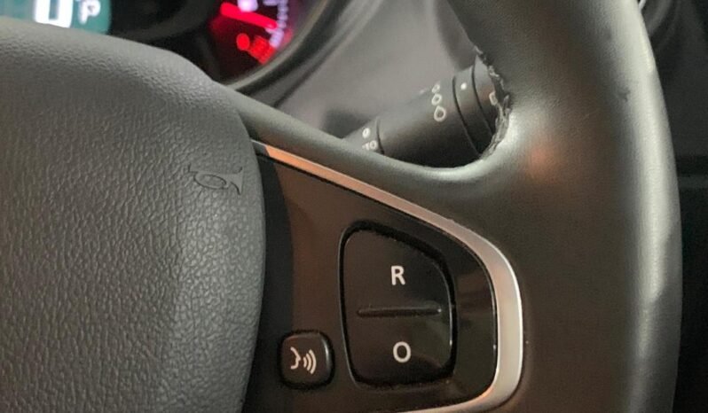 
								RENAULT CAPTUR 1.2 (A) full									