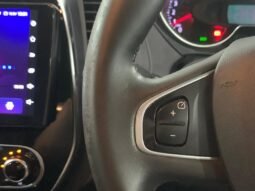 
										RENAULT CAPTUR 1.2 (A) full									