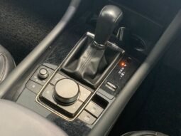 
										MAZDA 3 2.0 HIGH SPEC SDN (A) full									