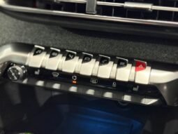 
										PEUGEOT 3008 1.6 (A) full									