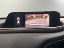 
										MAZDA CX-30 G 2.0L (A) full									