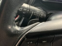 
										MAZDA CX-3 2.0 SKYACTIV G (A) full									