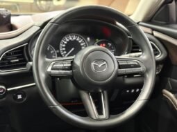 
										2024 Mazda CX-30 2.0 G 2WD HIGH+ MY19 UPDATED (A) / FULL LOAN / TIPTOP CONDITION / 1 YEAR WARRANTY full									