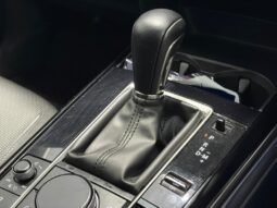 
										MAZDA CX-30 G HIGH (A) full									