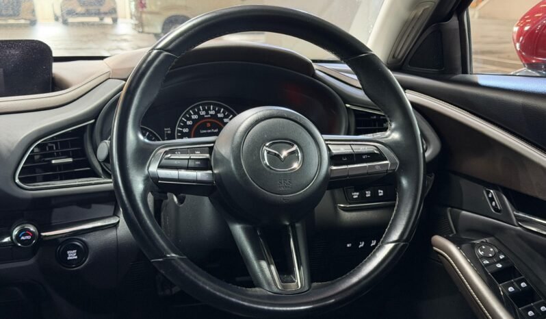 
								MAZDA CX-30 2.0 G HIGH MY19 (A) full									