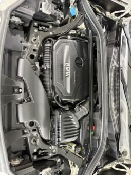 
										2018 Bmw X1 2.0 SDRIVE20I (A) / FULL LOAN /ONE OWNER / TIPTOP CONDITION full									